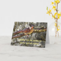 Tarjeta única de Invitación para bebés de aves roj