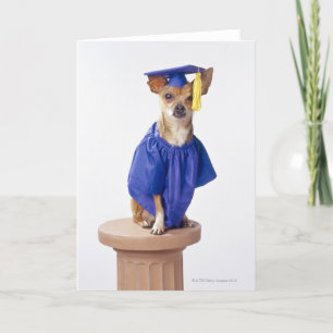 Tarjeta Uniforme de la graduación del perro de la