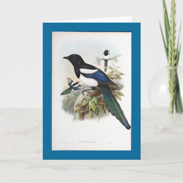 Tarjeta Urraca de Gould - de Bootan (Anverso)