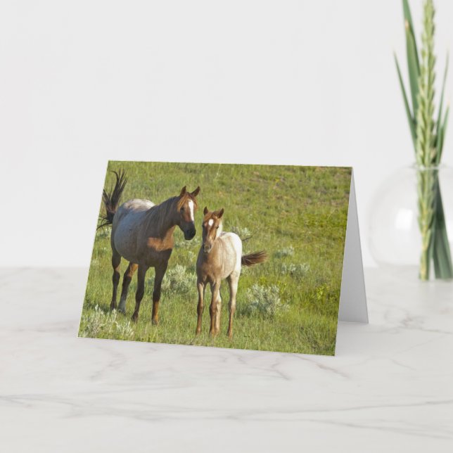 Tarjeta US35 CHA0209.jpg (Anverso)