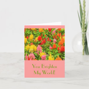 TARJETA "USTED ACLARA MI MUNDO" /ANNIVERSARY CARD/CELOSIA