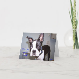 Tarjeta ¡Usted es cómo es viejo?!