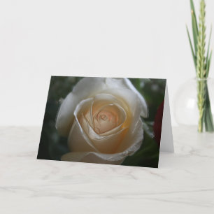 TARJETA USTED ES EL COLOR DE ROSA DE MI VIDA