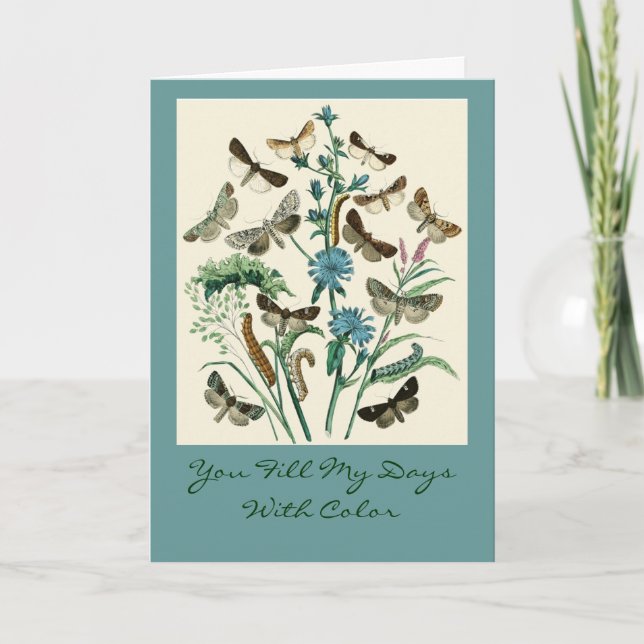 Tarjeta Usted llena mis días de color (Anverso)