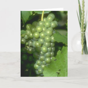 Tarjeta Uvas