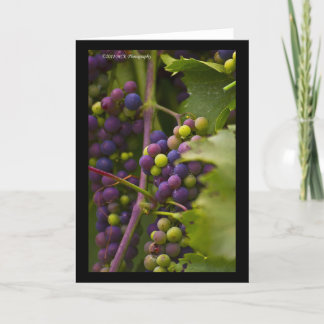 Tarjeta Uvas coloridas