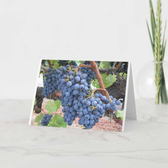Tarjeta Uvas de Napa Valley (Anverso)
