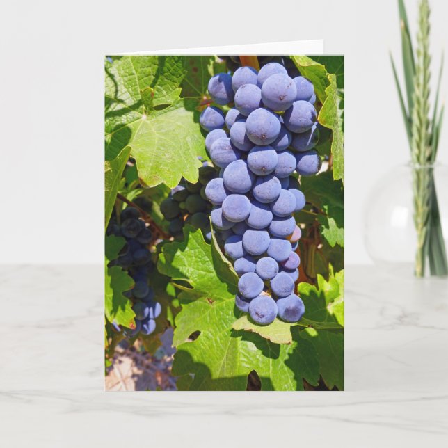 Tarjeta Uvas del viñedo (Anverso)