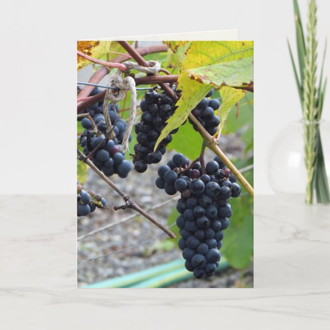 Tarjeta Uvas en una bodega (Anverso)