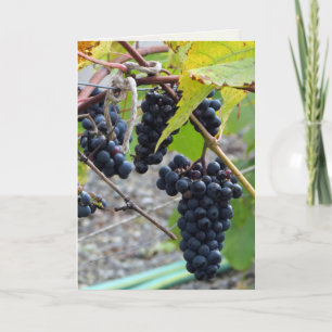 Tarjeta Uvas en una bodega