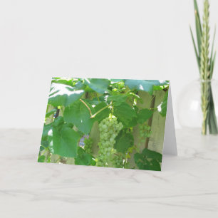 Tarjeta Uvas sin semillas de color blanco dulce y jugoso