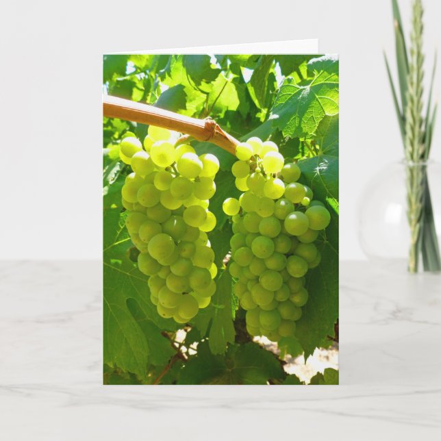 Tarjeta Uvas verdes en la vid (Anverso)