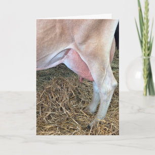 Tarjeta Vaca de cumpleaños parada sobre heno