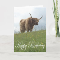Vaca de las Highlands escocesas