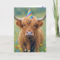 Vaca de las Tierras Altas con sombrero de cumpleañ