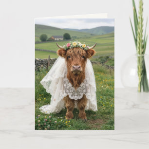 Tarjeta Vaca de las Tierras Altas Felicitaciones para la N