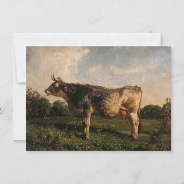 Tarjeta Vaca en un campo (animal de granja) (de Filippo Pa (Anverso)
