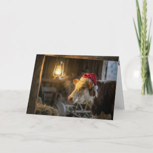 Tarjeta Vaca Hereford de Navidad en un granero