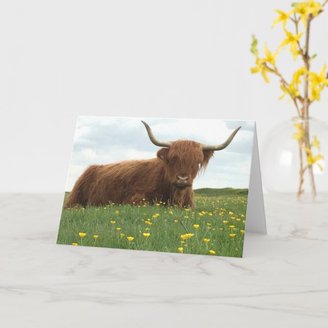 Tarjeta Vaca Highland (flor amarilla)