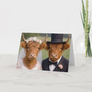 Tarjeta Vaca Highland novia y novio