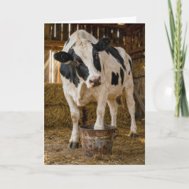 Tarjeta Vaca Holstein de cumpleaños parada en un cubo oxid