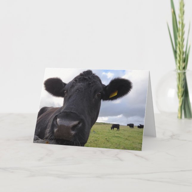 Tarjeta ¡Vaca irlandesa! (Anverso)