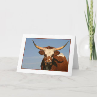 Tarjeta Vaca Longhorn de Texas