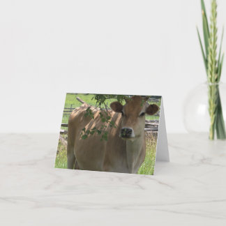 Tarjeta Vaca Notecard del jersey