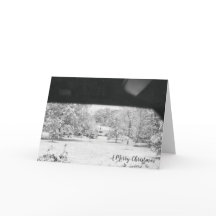 Vacaciones de invierno de Navidades blancos