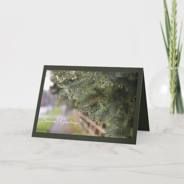 Tarjeta Vacaciones en Needles Evergreen, brillantes y bril (Anverso)