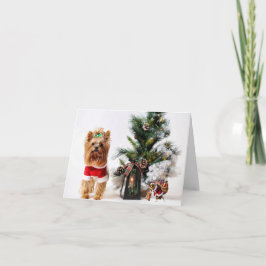 Tarjeta Vacaciones Happ-Bee.