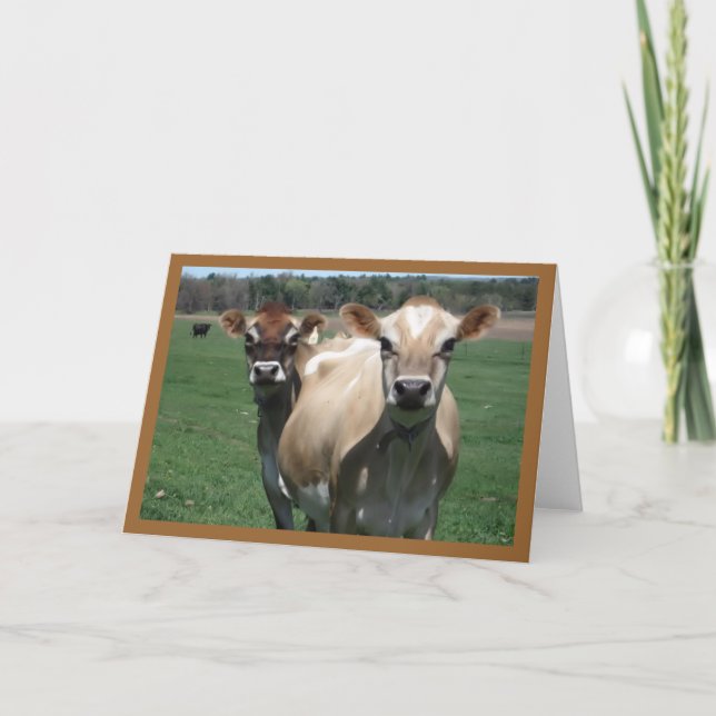Tarjeta Vacas del jersey (Anverso)