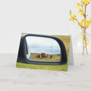 Tarjeta Vacas en el espejo