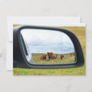Tarjeta Vacas en el espejo