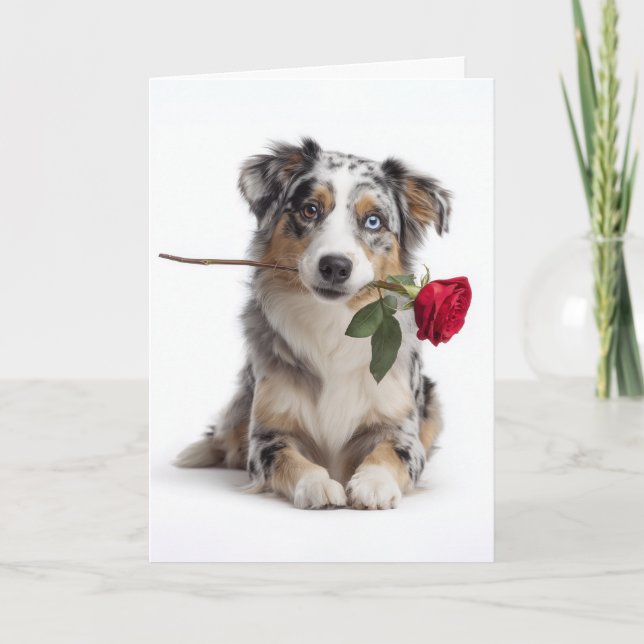 Tarjeta Valentín Aussie Merle Azul – Amor Devoto (Anverso)