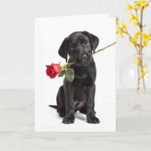 Tarjeta Valentín de Labrador negro
