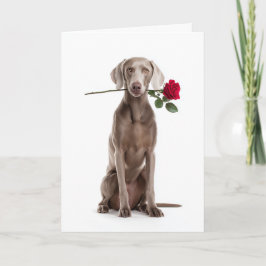 Tarjeta Valentín Weimaraner