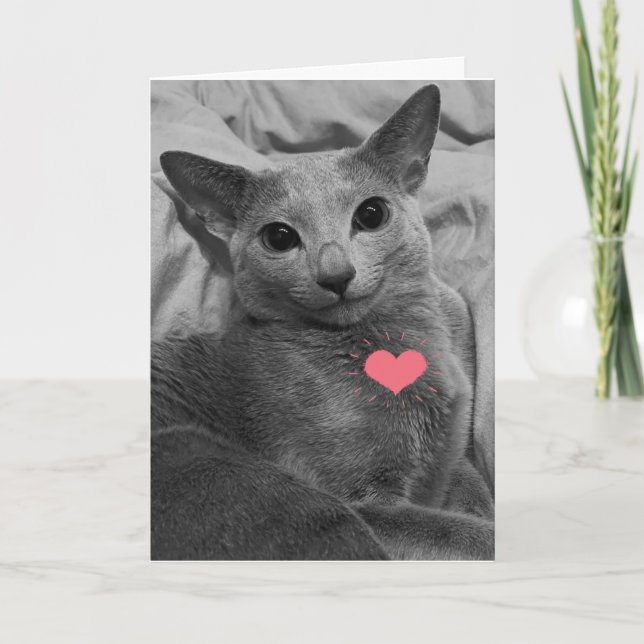 Tarjeta Valentine de gato sonriente (Anverso)