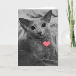 Tarjeta Valentine de gato sonriente
