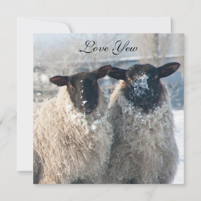 Tarjeta Valentine's Day Card (Anverso)