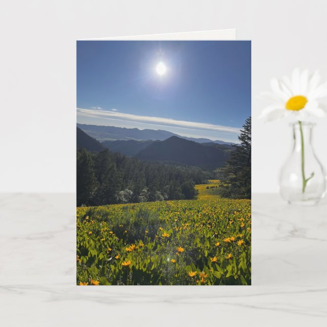 Tarjeta Valle Iluminado por el Sol (Planta pequeña)