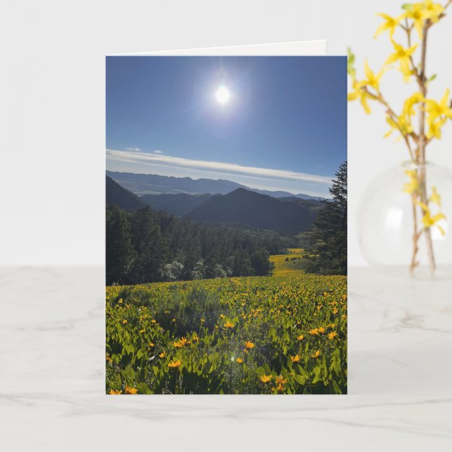 Tarjeta Valle Iluminado por el Sol (flor amarilla)