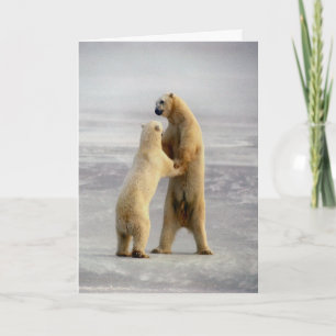 Tarjeta Vals ártico