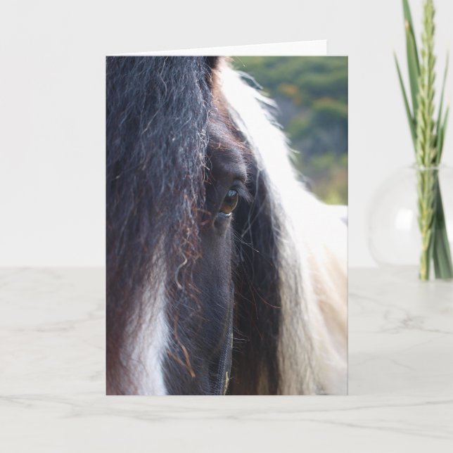Tarjeta Vanner gitano Notecard (Anverso)
