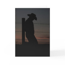Vaquero al atardecer