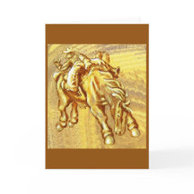Vaquero del rodeo