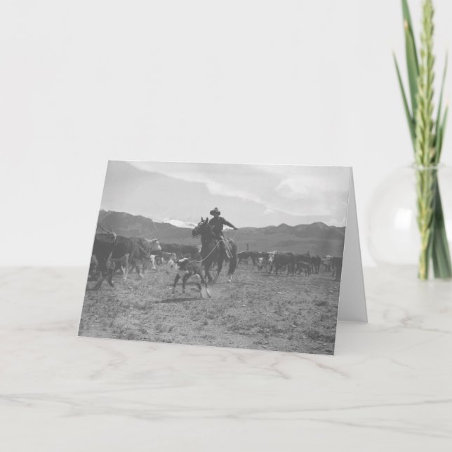 Tarjeta Vaquero roping un becerro para el marcado en (Anverso)