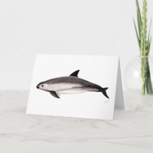 Tarjeta Vaquita