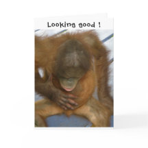 Vasectomía con buen aspecto