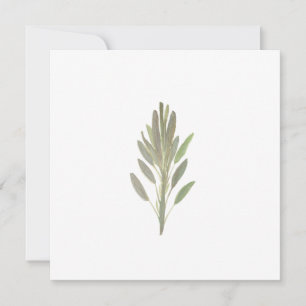Tarjeta vegetal botánica de hierba salada